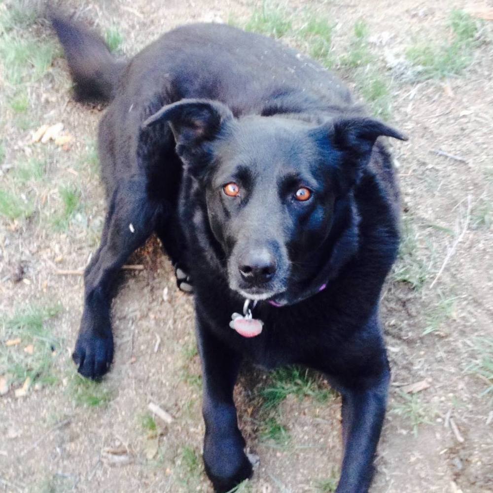 Meet your Posher, Caley